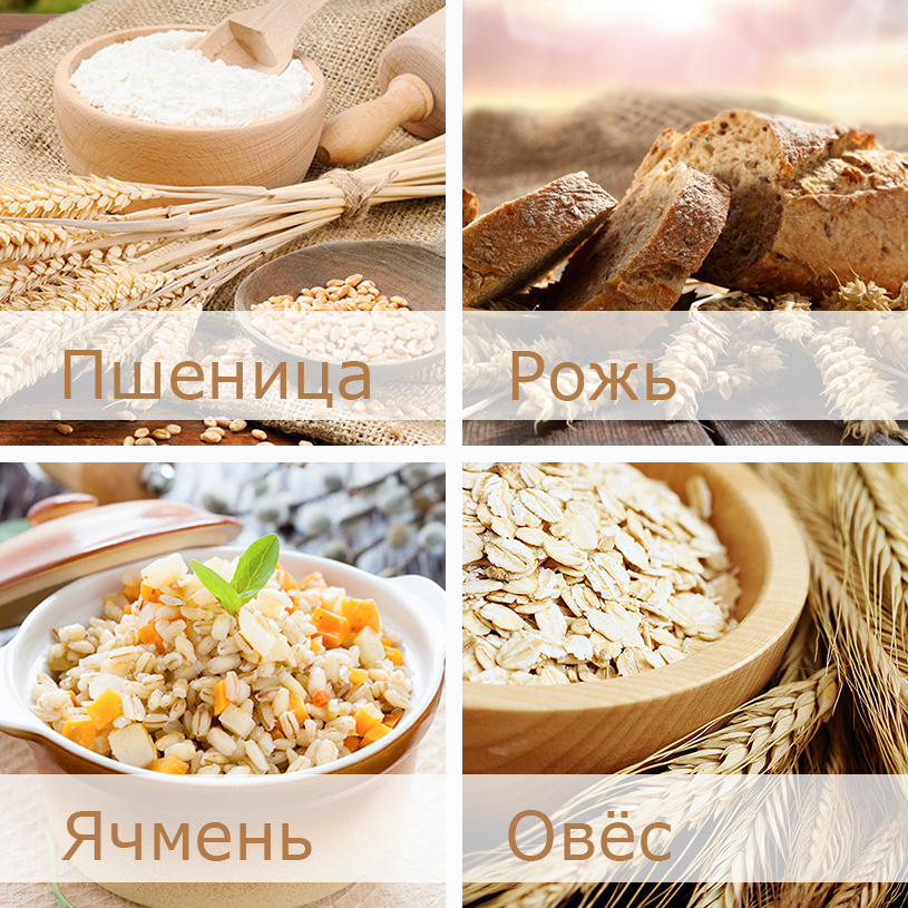 в каких продуктах есть глютен