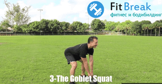 Упражнения с гирей Приседания с гирей Гоблет, кубковые